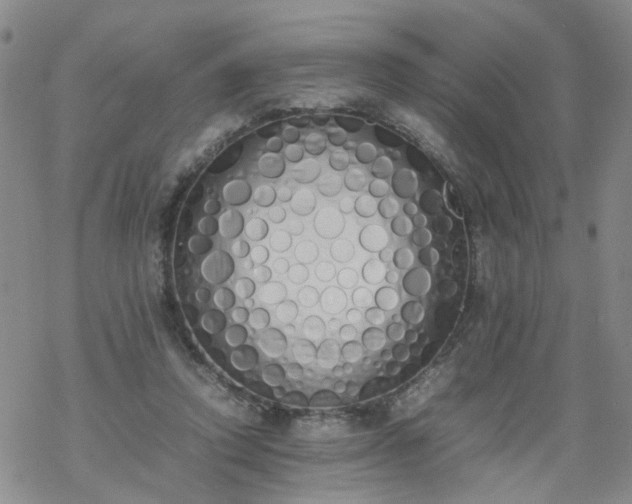 X0000069390354200605192219