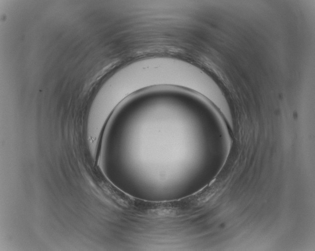 X0000069390356200605192219