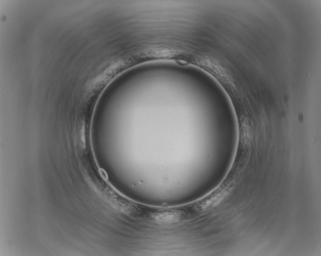 X0000069390358200605192219