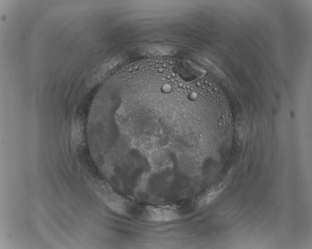 X0000069390359200605192220