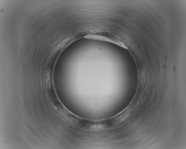 X0000069390360200605192220