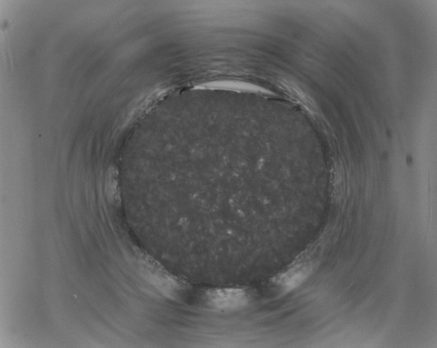 X0000069390361200605192220