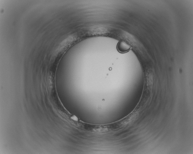 X0000069390362200605192220