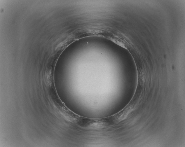 X0000069390364200605192220