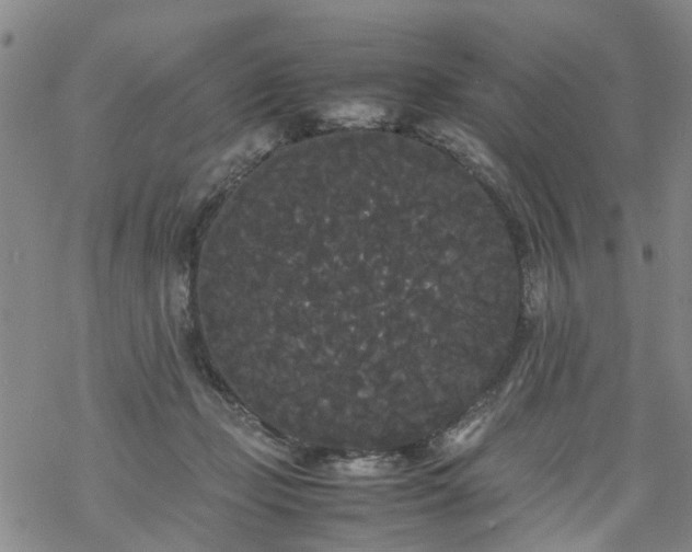 X0000069390365200605192220