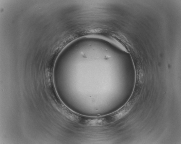 X0000069390366200605192220