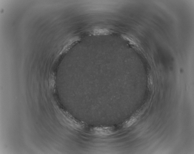 X0000069390367200605192220