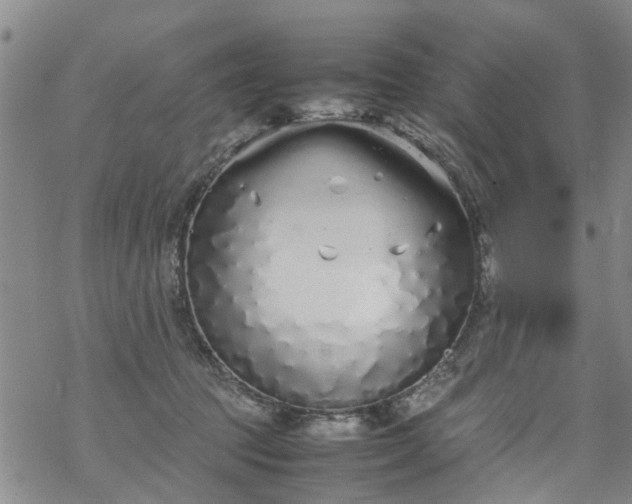 X0000069390369200605192220