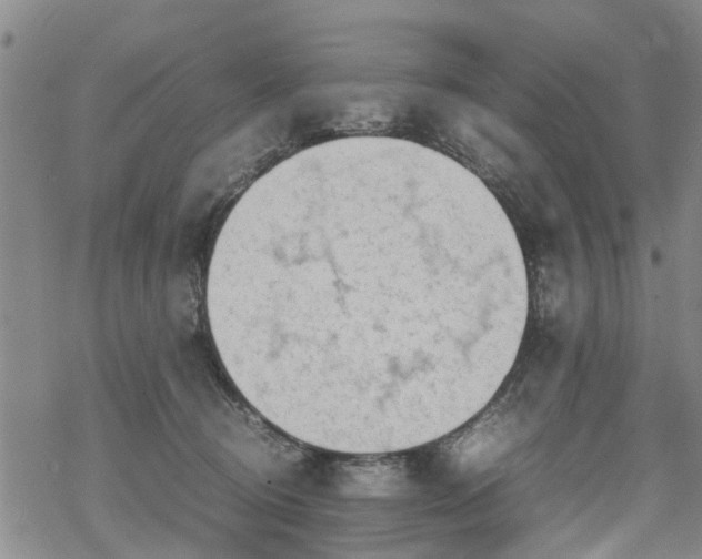 X0000069390370200605192220