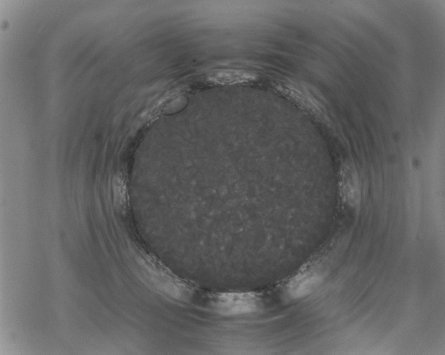 X0000069390371200605192220