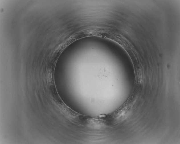 X0000069390372200605192220