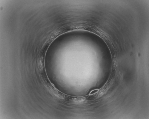 X0000069390373200605192220