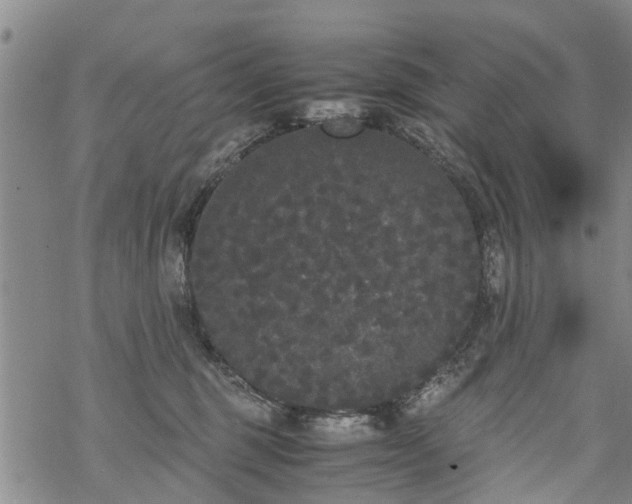 X0000069390375200605192220