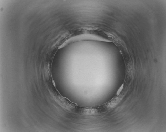 X0000069390376200605192220