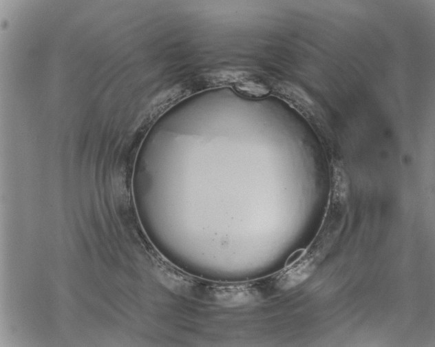 X0000069390377200605192220