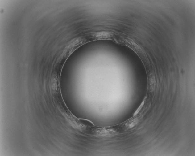 X0000069390379200605192220