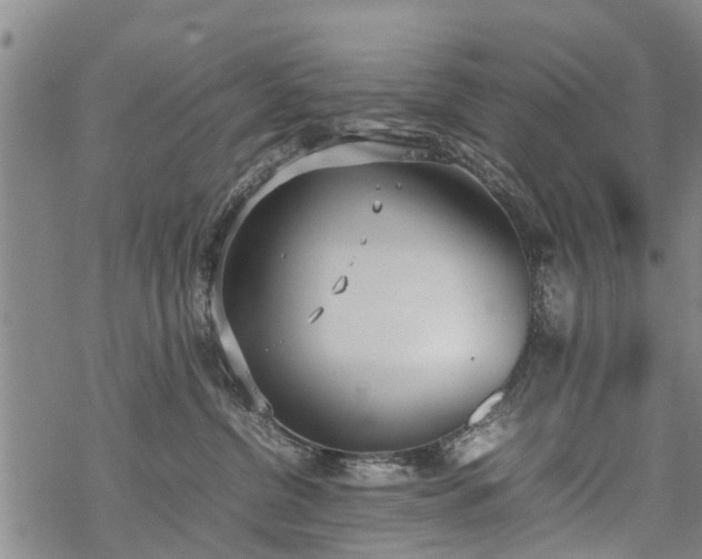 X0000069390380200605192220