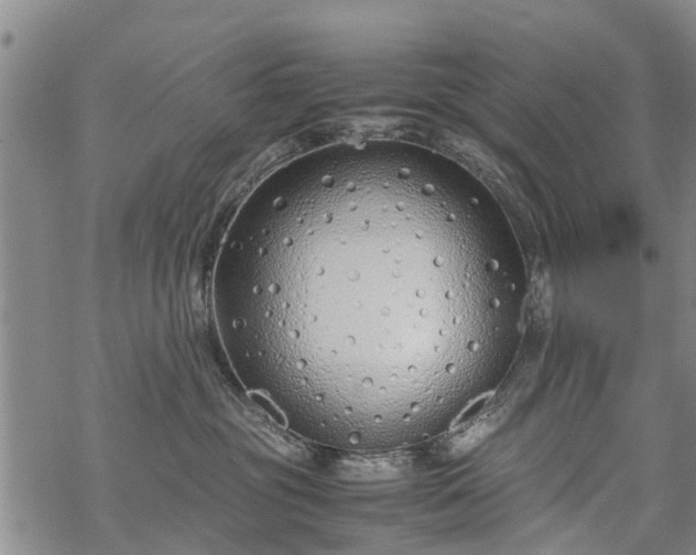 X0000069390381200605192220