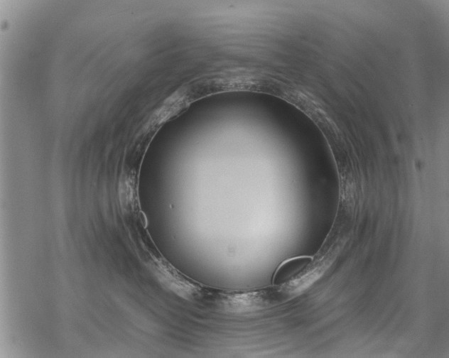 X0000069390382200605192220