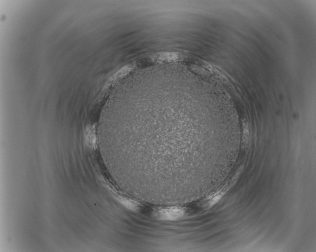 X0000069390383200605192220