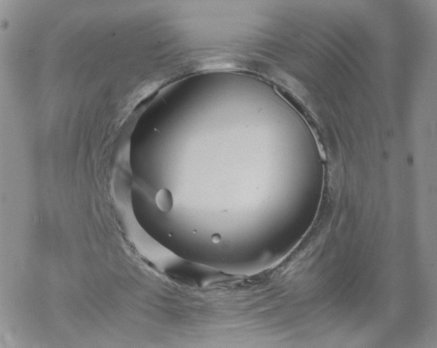 X0000069390385200605192219