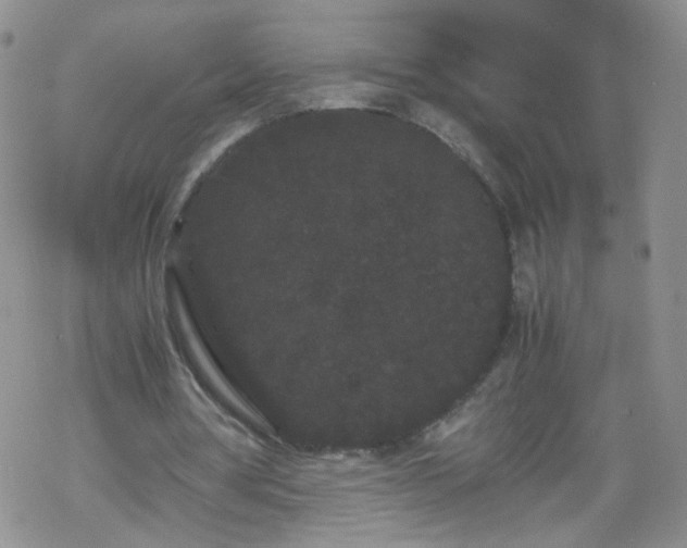 X0000069390386200605192219