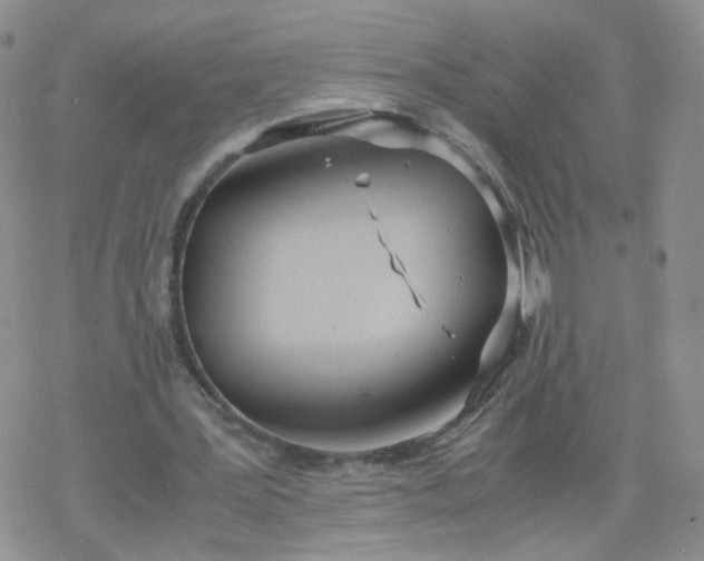 X0000069390387200605192219