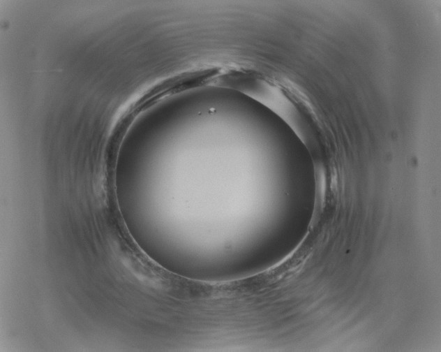 X0000069390388200605192219