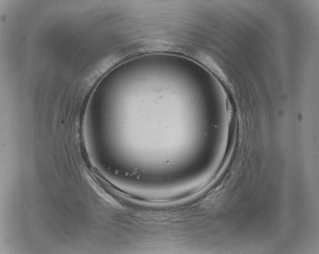 X0000069390389200605192219