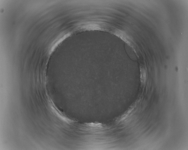 X0000069390390200605192219