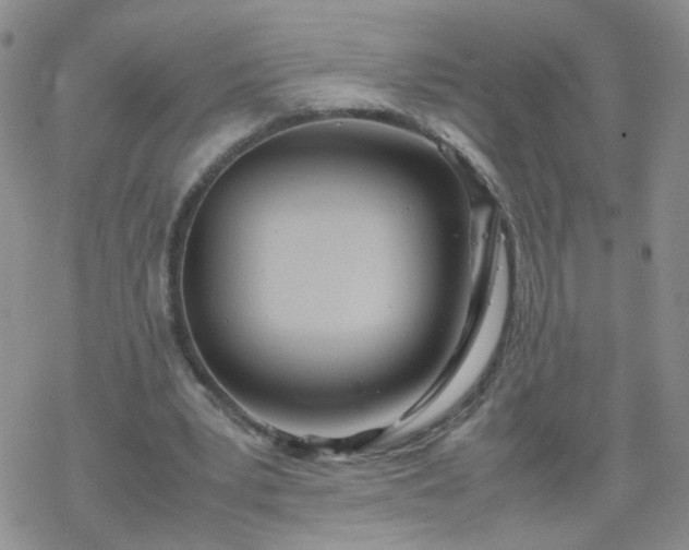 X0000069390391200605192219