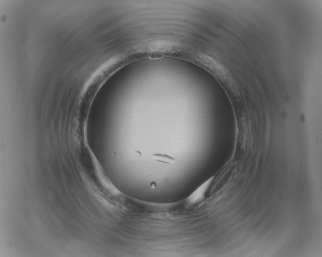 X0000069390392200605192219