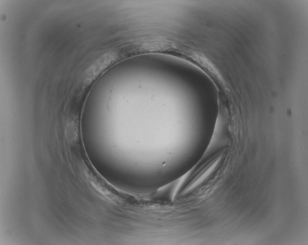 X0000069390393200605192219