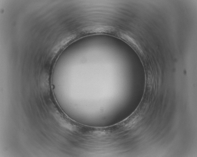 X0000069390394200605192219