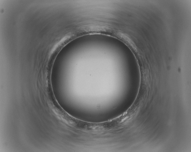 X0000069390395200605192219