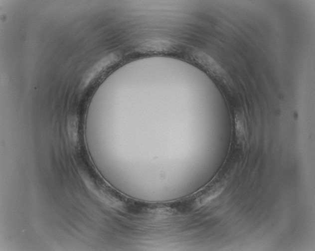 X0000069390396200605192219