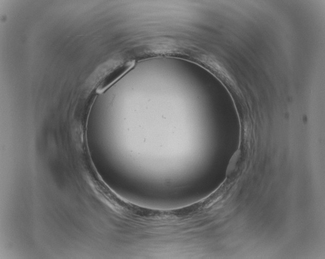 X0000069390397200605192219