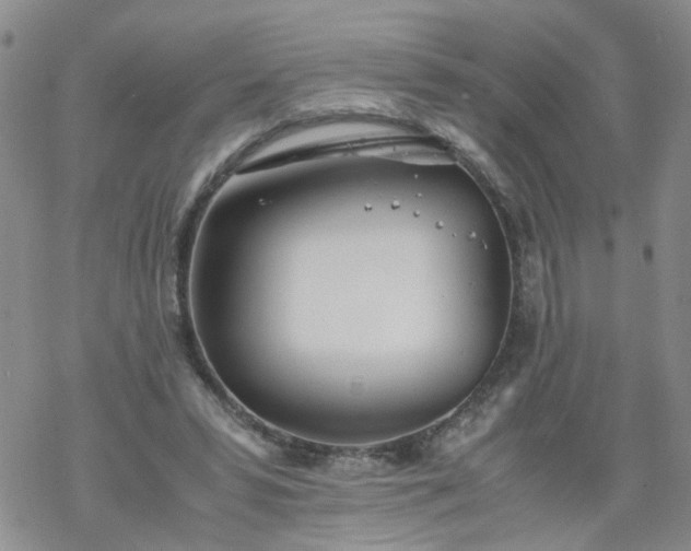 X0000069390399200605192219