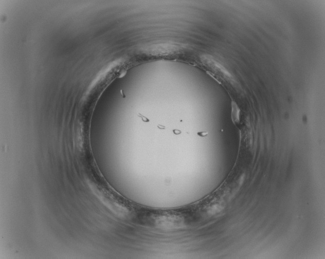 X0000069390400200605192219