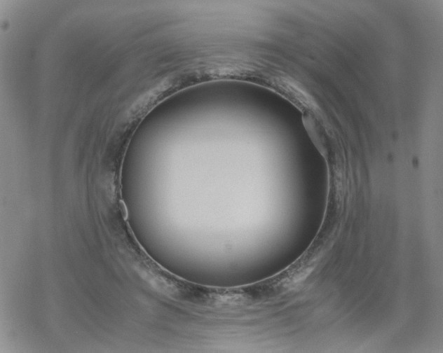 X0000069390401200605192219