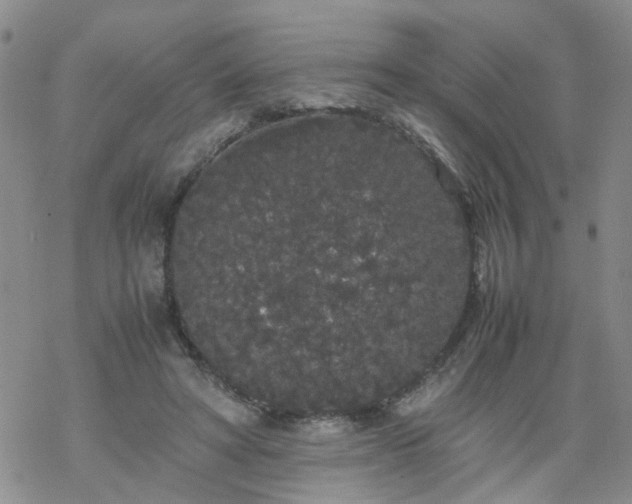 X0000069390402200605192219