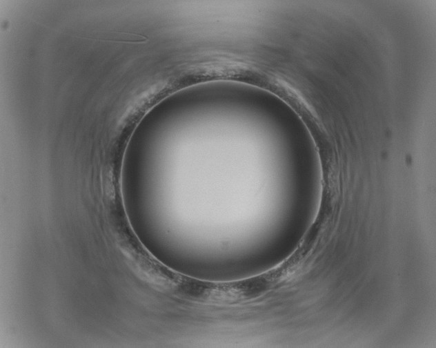 X0000069390403200605192219