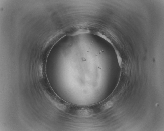 X0000069390404200605192219