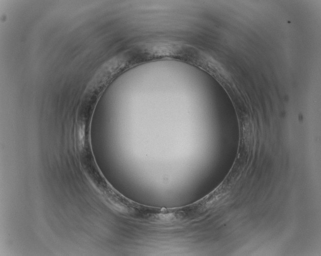 X0000069390406200605192219