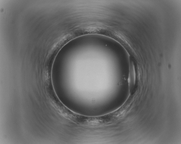 X0000069390407200605192219