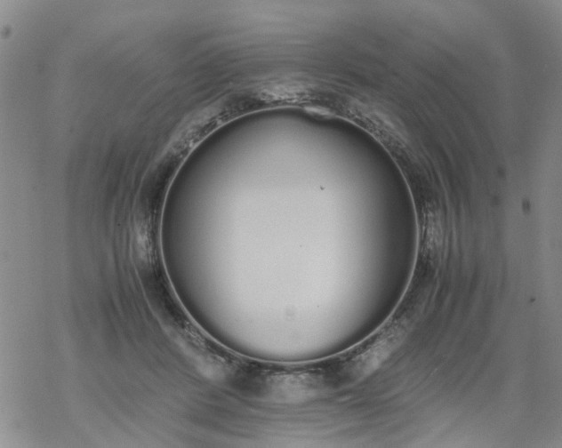 X0000069390408200605192219