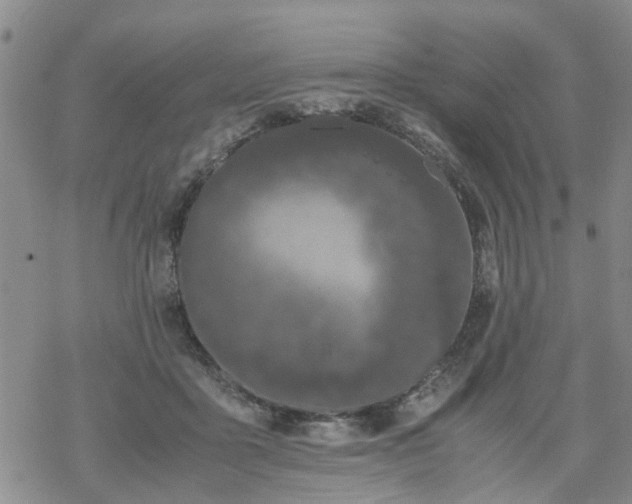 X0000069390411200605192219