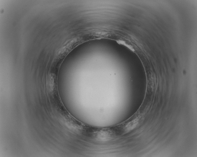 X0000069390412200605192219