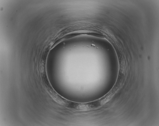 X0000069390413200605192219