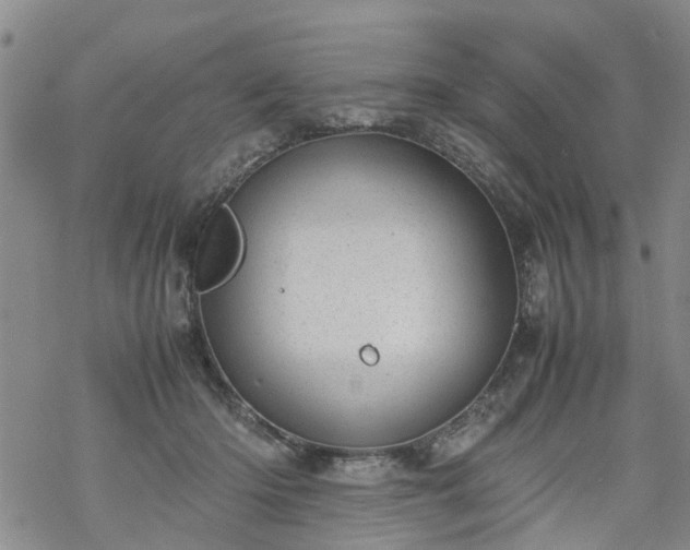 X0000069390414200605192219